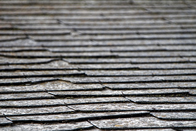 moss removal from tile roof with cleared gutters